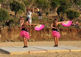 Pink Flamenco